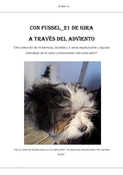 'Cover von Com Fussel_21 de gira'-Cover