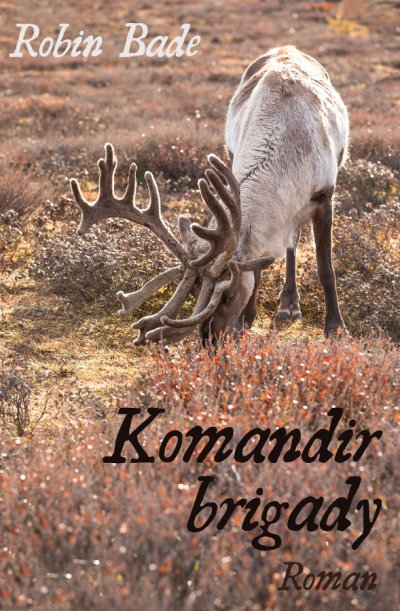 'Cover von Komandir brigady'-Cover