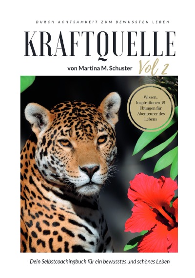 'Kraftquelle Vol. 2'-Cover