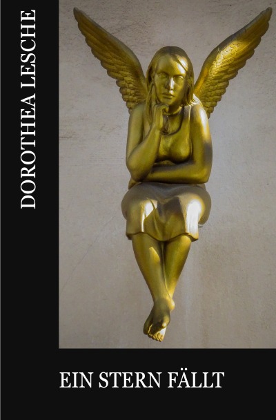 'Ein Stern fällt'-Cover