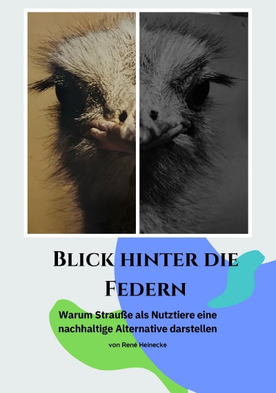 'Cover von Blick hinter die Federn'-Cover