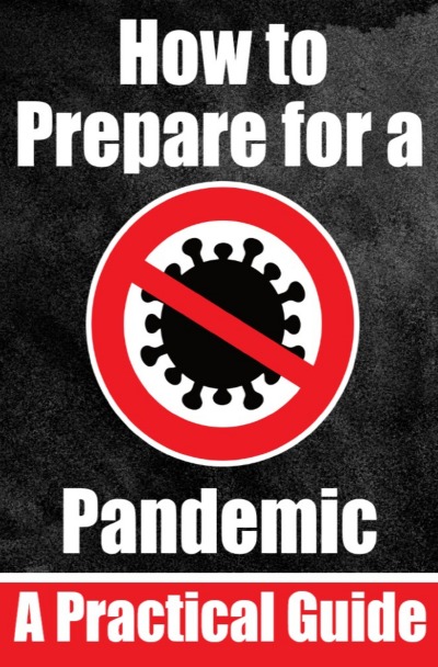 'How to Prepare for a Pandemic | Prepare for a Virus Outbreak | Stay Safe in a Pandemic: What Everyone Needs to Know'-Cover