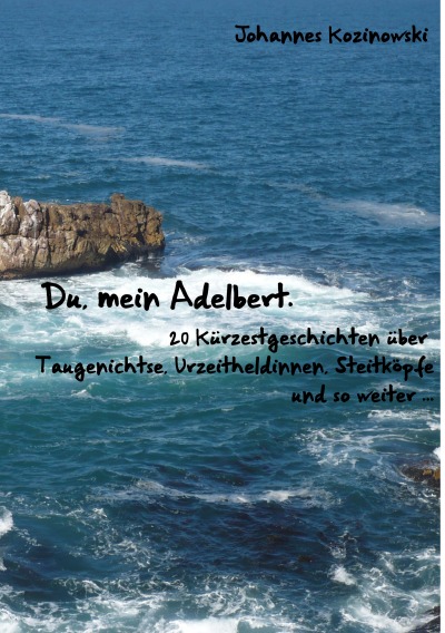 'Cover von Du, mein Adelbert — 20 Kürzestgeschichten über Taugenichtse, Urzeitheldinnen, Steitköpfe und so weiter …'-Cover