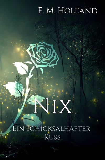 'Cover von Nix – ein schicksalhafter Kuss'-Cover