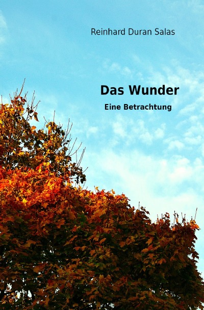 'Cover von Das Wunder'-Cover