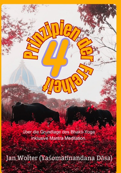 'Cover von 4 Prinzipien der Freiheit'-Cover