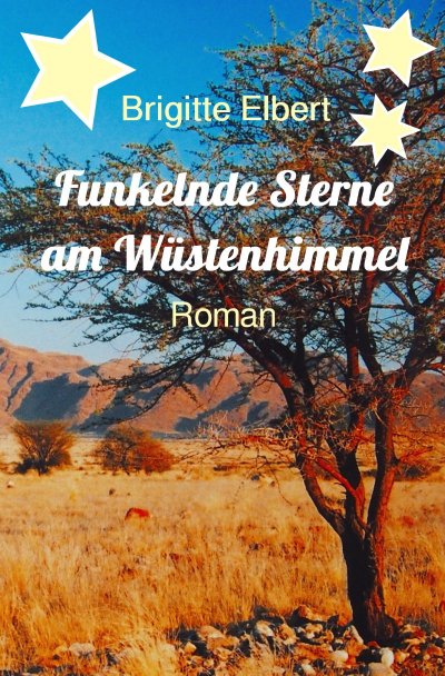 'Cover von Funkelnde Sterne am Wüstenhimmel'-Cover