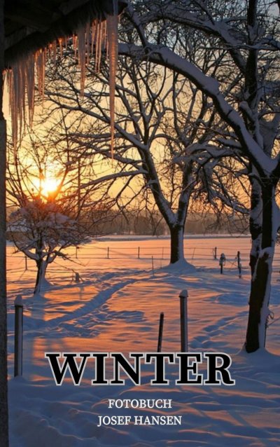 'Cover von Winter'-Cover