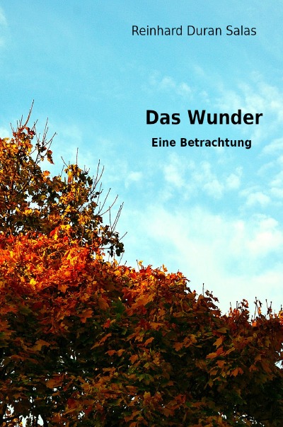 'Cover von Das Wunder'-Cover