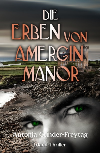 'Die Erben von Amergin Manor'-Cover