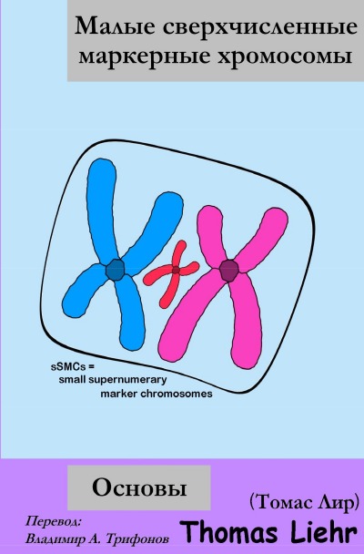 'Малые сверхчисленные маркерные хромосомы  Основы'-Cover