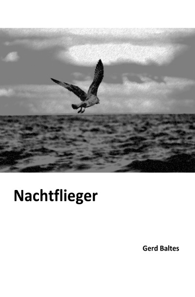 'Cover von Nachtflieger'-Cover