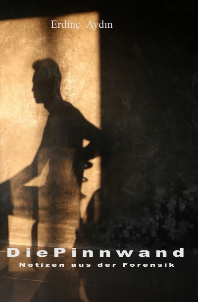 'Cover von Die Pinnwand'-Cover