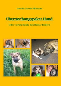 Überraschungspaket Hund - Oder warum Hunde den Humor fördern - Isabella Staudt-Millmann