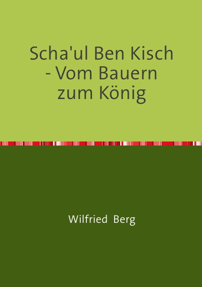 'Scha’ul Ben Kisch – Vom Bauern zum König'-Cover