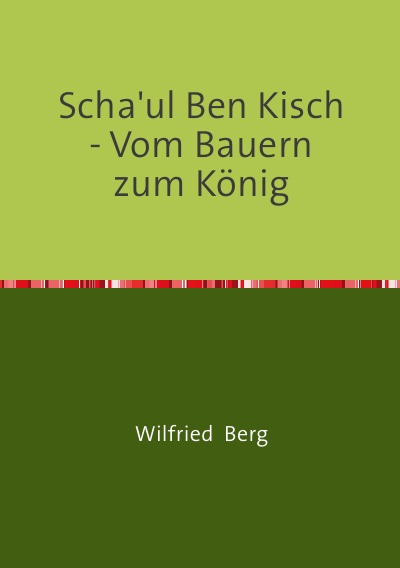 'Cover von Scha’ul Ben Kisch – Vom Bauern zum König'-Cover
