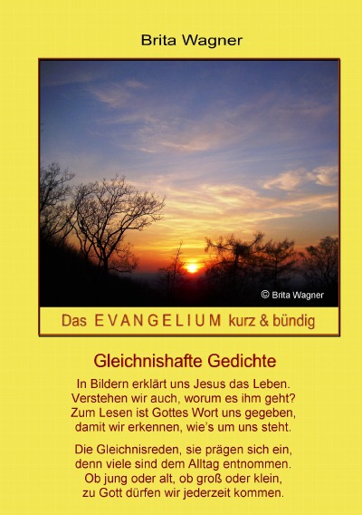 'Cover von Das Evangelium kurz & bündig'-Cover