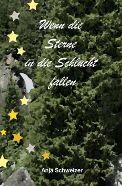'Cover von Wenn die Sterne in die Schlucht fallen'-Cover