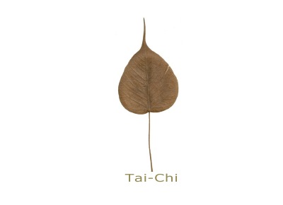 'Cover von Tai-Chi'-Cover