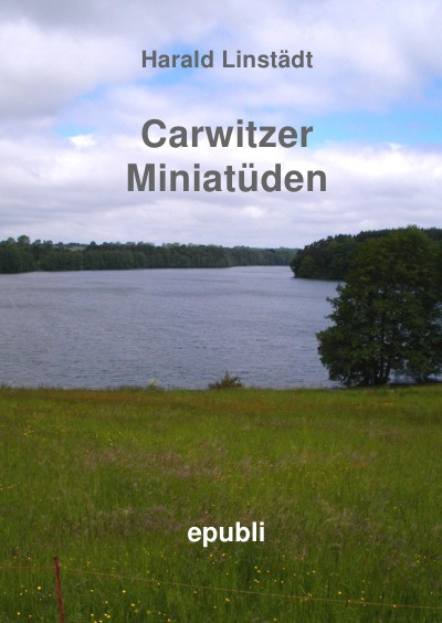 'Cover von Carwitzer Miniatüden'-Cover