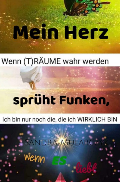 'Cover von Mein Herz sprüht Funken, wenn ES liebt'-Cover