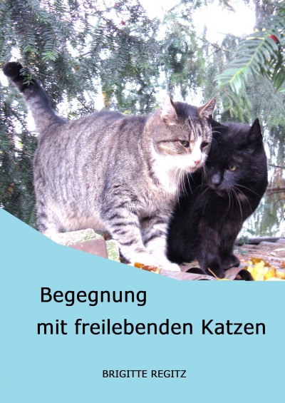 'Cover von Begegnung mit freilebenden Katzen'-Cover