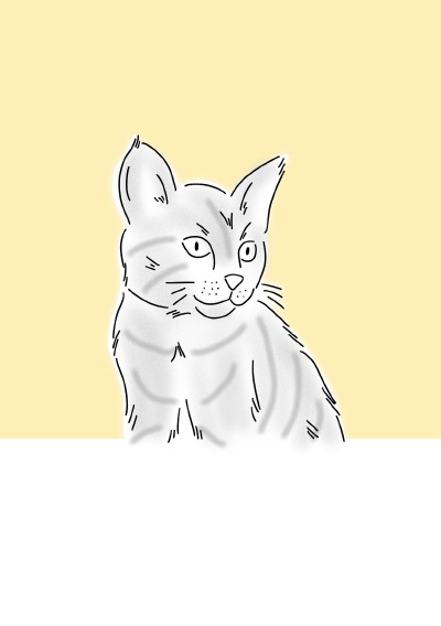 'Cover von Notizheft Katzen gelb'-Cover
