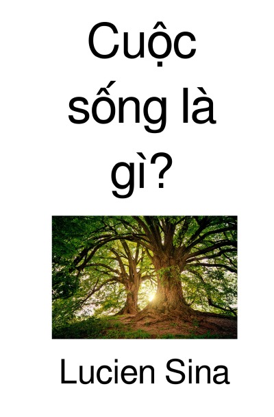 'Cover von Cuộc sống là gì?'-Cover