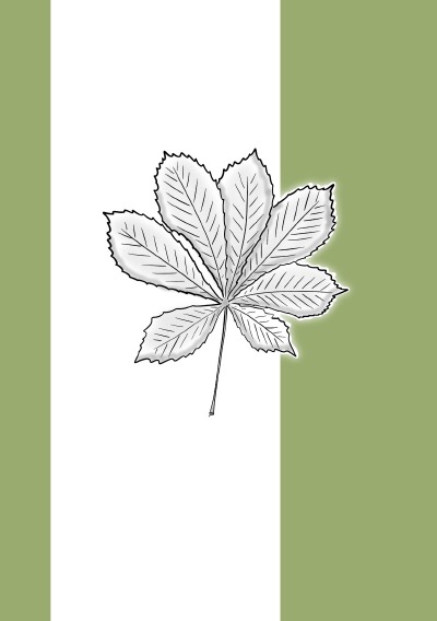 'Cover von Notizheft Wald Blatt'-Cover