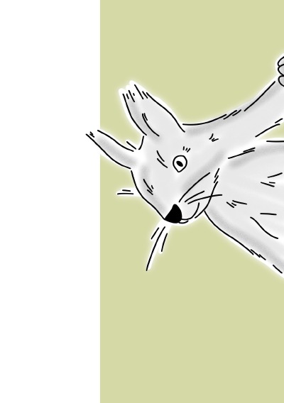 'Cover von Notizheft Wald Eichhörnchen'-Cover