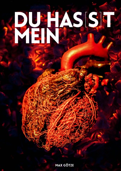 'Cover von Du has(s)t mein Herz'-Cover