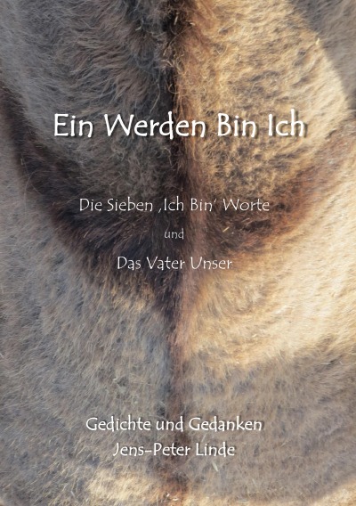 'Cover von Ein Werden Bin Ich'-Cover
