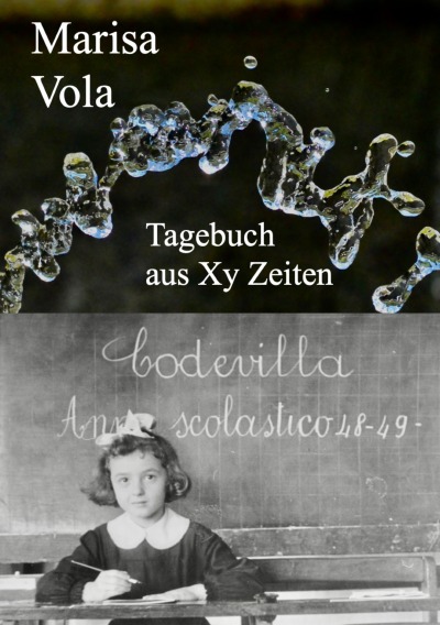 'Cover von Tagebuch aus Xy Zeiten'-Cover