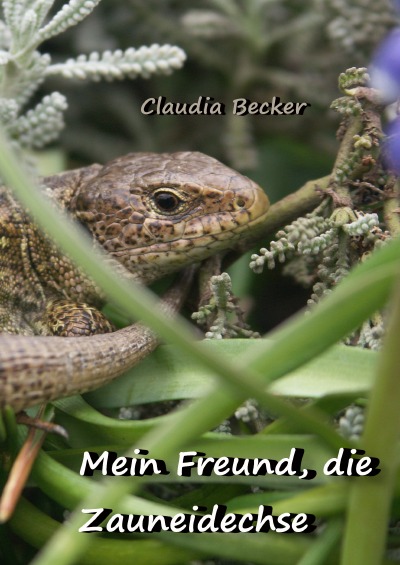 'Cover von Mein Freund, die Zauneidechse'-Cover