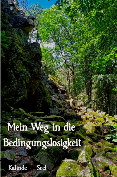 'Cover von Bedingungslosigkeit leben'-Cover
