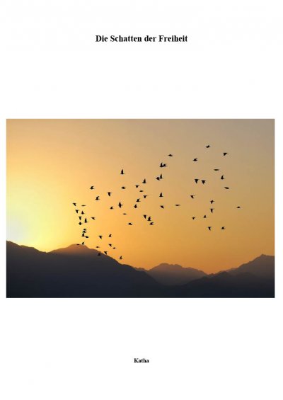 'Cover von Die Schatten der Freiheit'-Cover