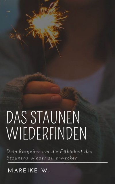 'Cover von Das Staunen wiederfinden'-Cover