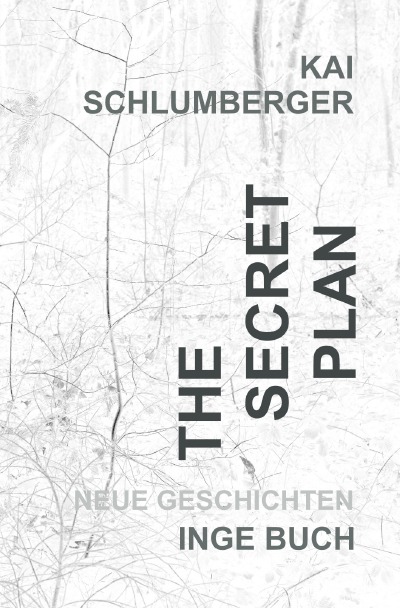 'Cover von The secret plan oder der Weg ins Licht'-Cover
