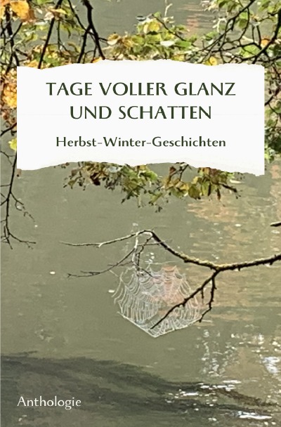 'Cover von TAGE VOLLER GLANZ UND SCHATTEN'-Cover