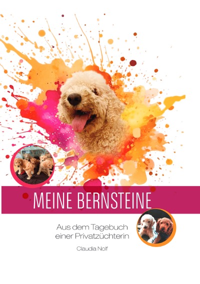 'Cover von Meine Bernsteine'-Cover