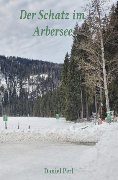 'Cover von Der Schatz im Arbersee'-Cover