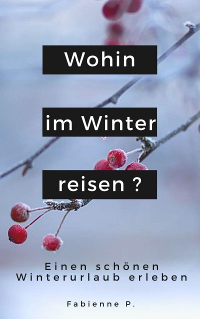 'Cover von Wohin im Winter reisen ?'-Cover