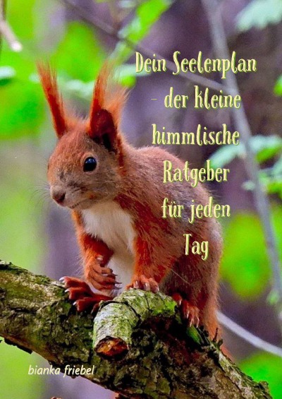 'Cover von Dein Seelenplan – der kleine himmlische Ratgeber für jeden Tag'-Cover
