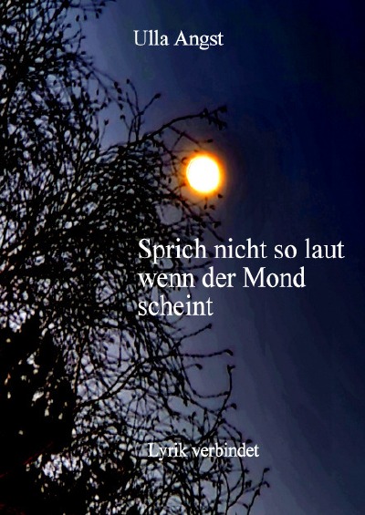 'Cover von Sprich NICHT so laut wenn der MOND scheint'-Cover