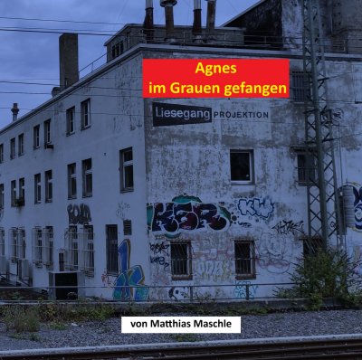 'Cover von Agnes im Grauen gefangen'-Cover