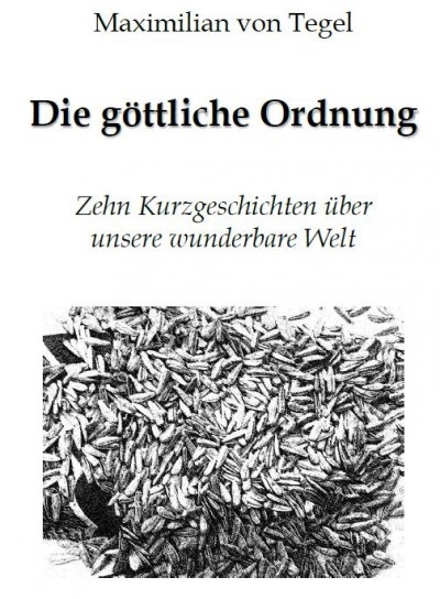 'Cover von Die Göttliche Ordnung'-Cover