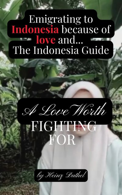 'Cover von Emigrating to Indonesia because of love and lies. The Indonesia Guide'-Cover