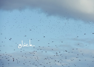 'Cover von glück..'-Cover