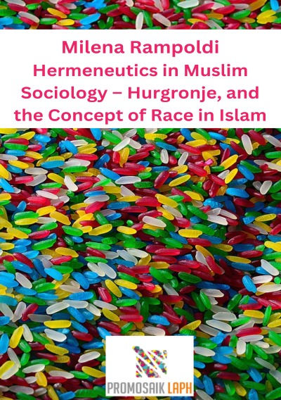 'Cover von Hermeneutics in Muslim Sociology – Hurgronje, and the Concept of Race in Islam'-Cover