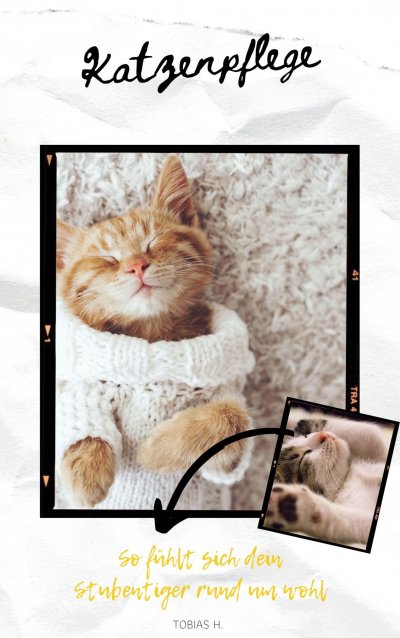 'Cover von Katzenpflege – so fühlt sich dein Stubentiger rund um wohl'-Cover